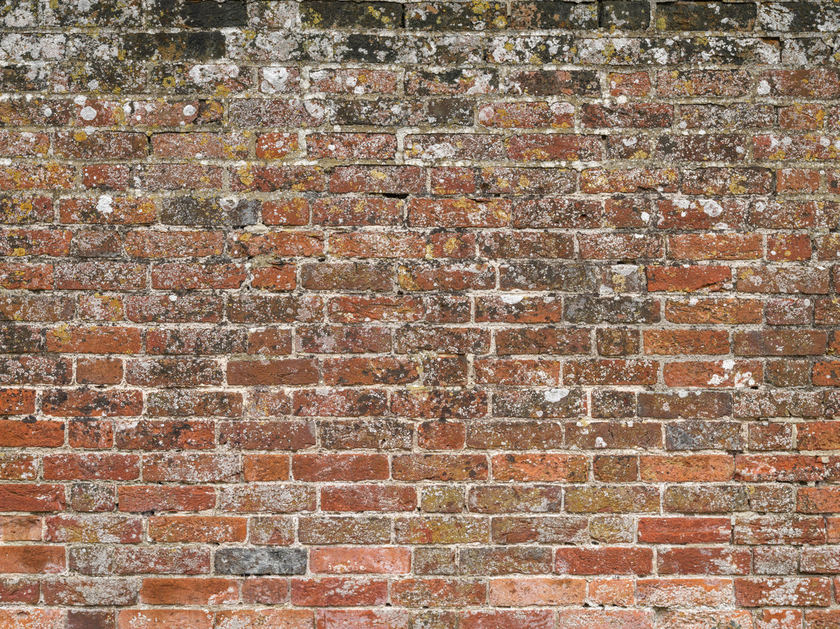 Classic Red Brick Look Wall Mural