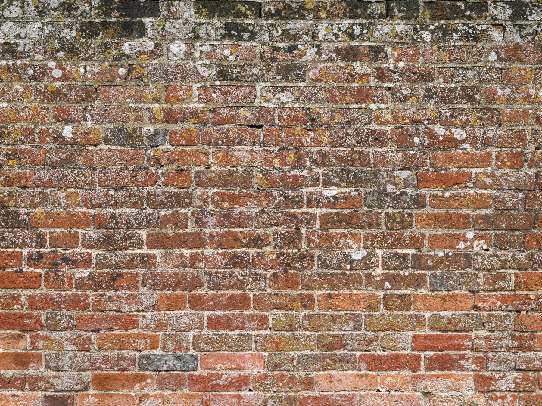 Classic Red Brick Look Wall Mural