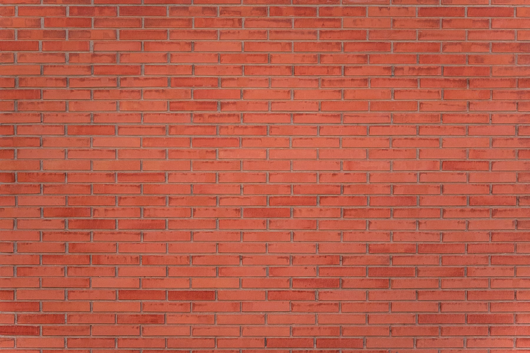 A high-quality realistic brick wall mural for walls.

