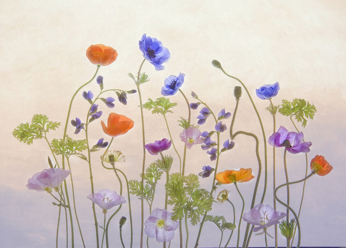 Bloom Hues Wall Mural -1876358 in your room