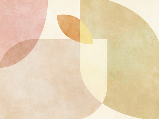 Geometric Harmony Wall Mural - 2632091