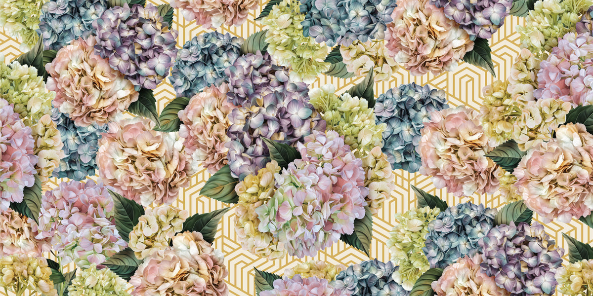 Hydrangea Bloom Wall Mural -2735566 in your room — zoomed