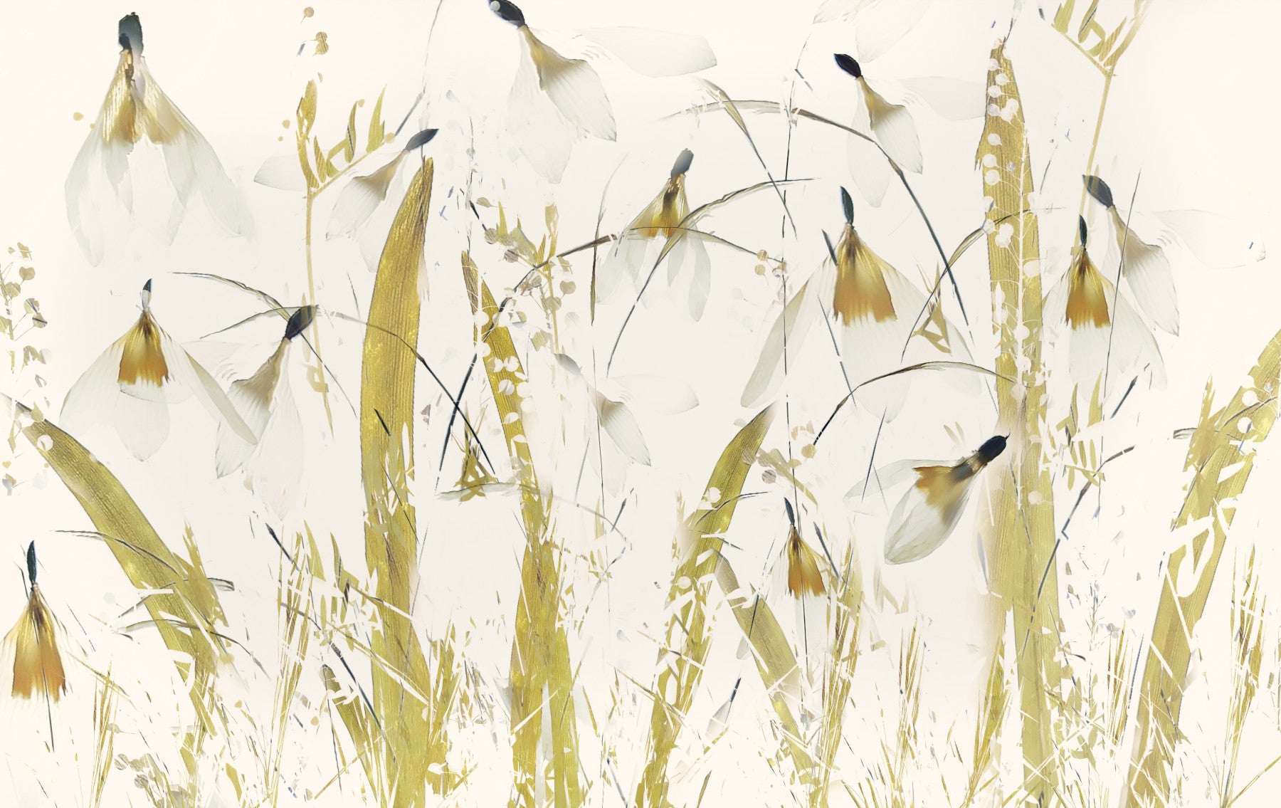Fresque murale Golden Whispers -2457116