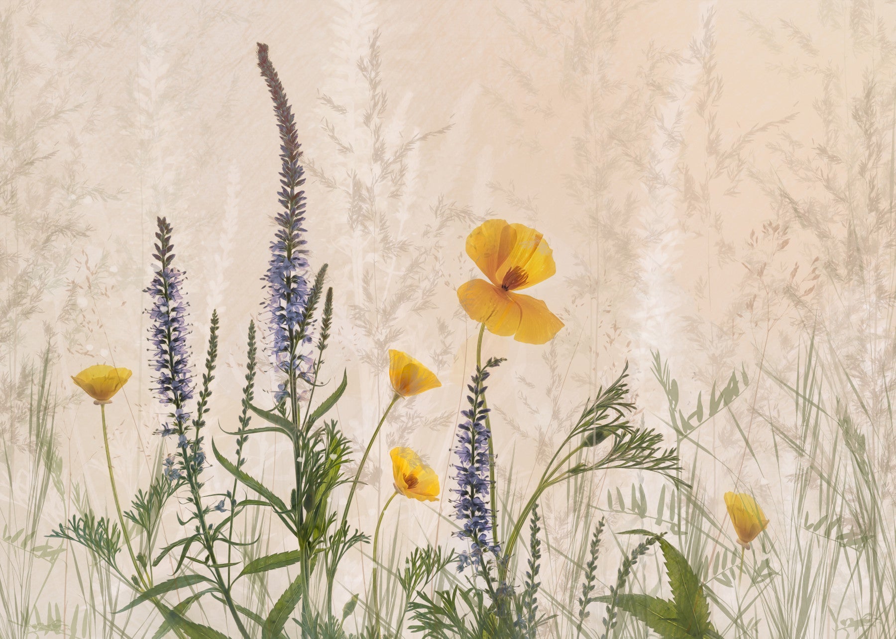Prairie Bloom Wall Mural -2091525