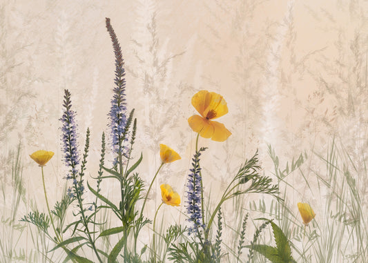 Prairie Bloom Wall Mural -2091525