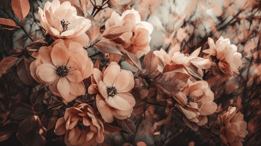 Rustic Petals Wall Mural -2495068