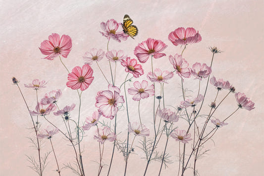 Fresque murale Cosmos Whispers -1972890