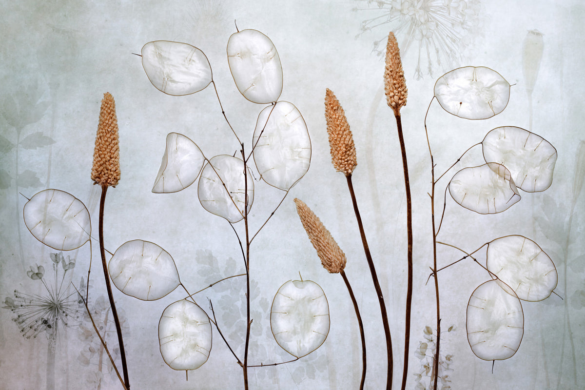 Botanical Echoes Wall Mural -1037879 in your room — zoomed