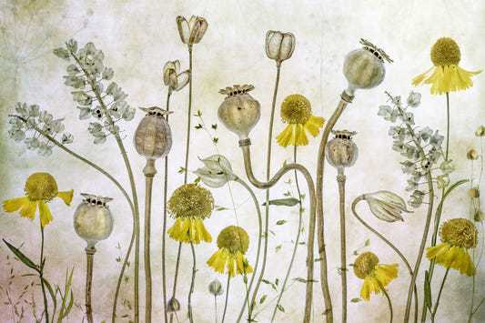 Botanical Still Life Wall Mural -1229076