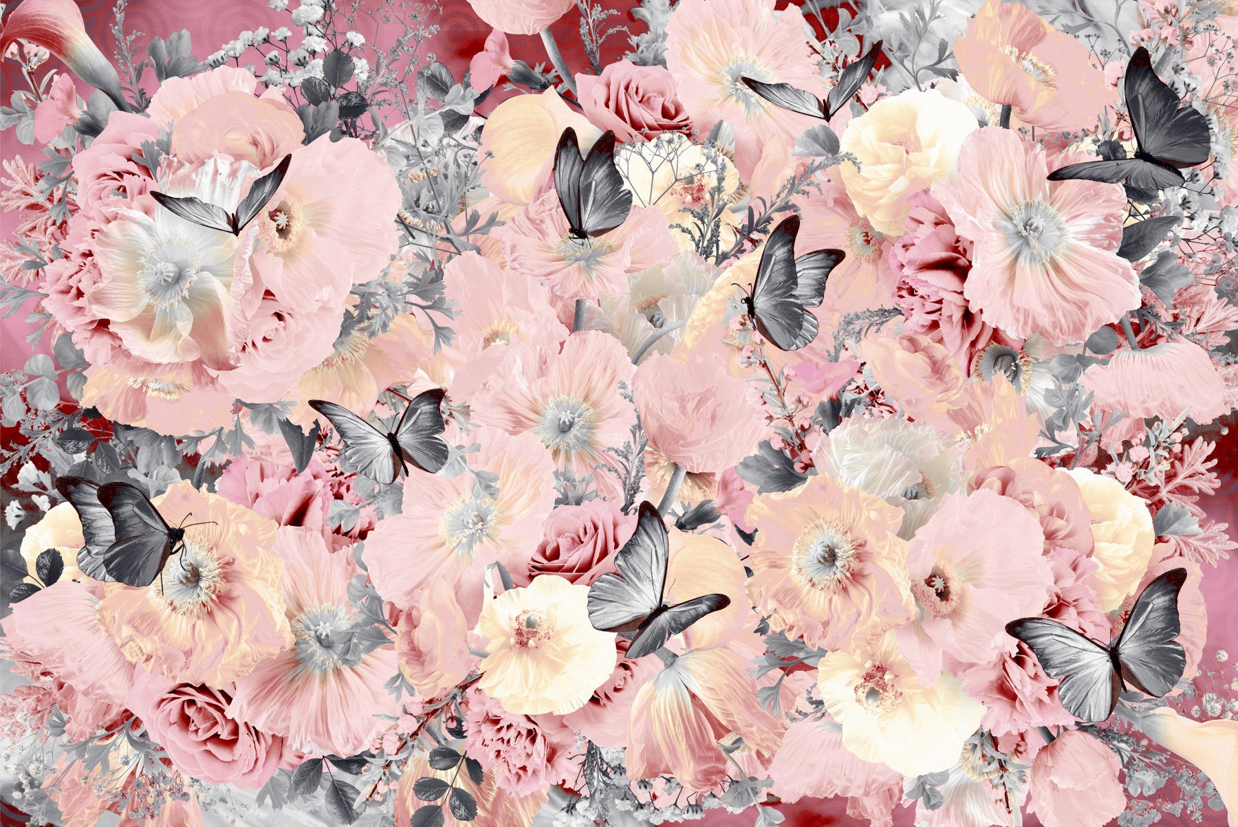 Butterfly Blooms Wall Mural -2620663
