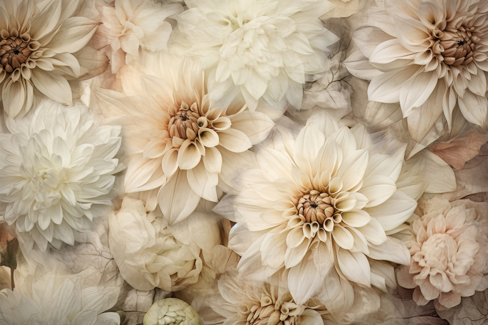 Neutral Bloom Wall Mural -2578266 in your room