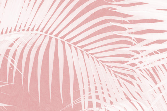 Palm Blush Wall Mural -2584043