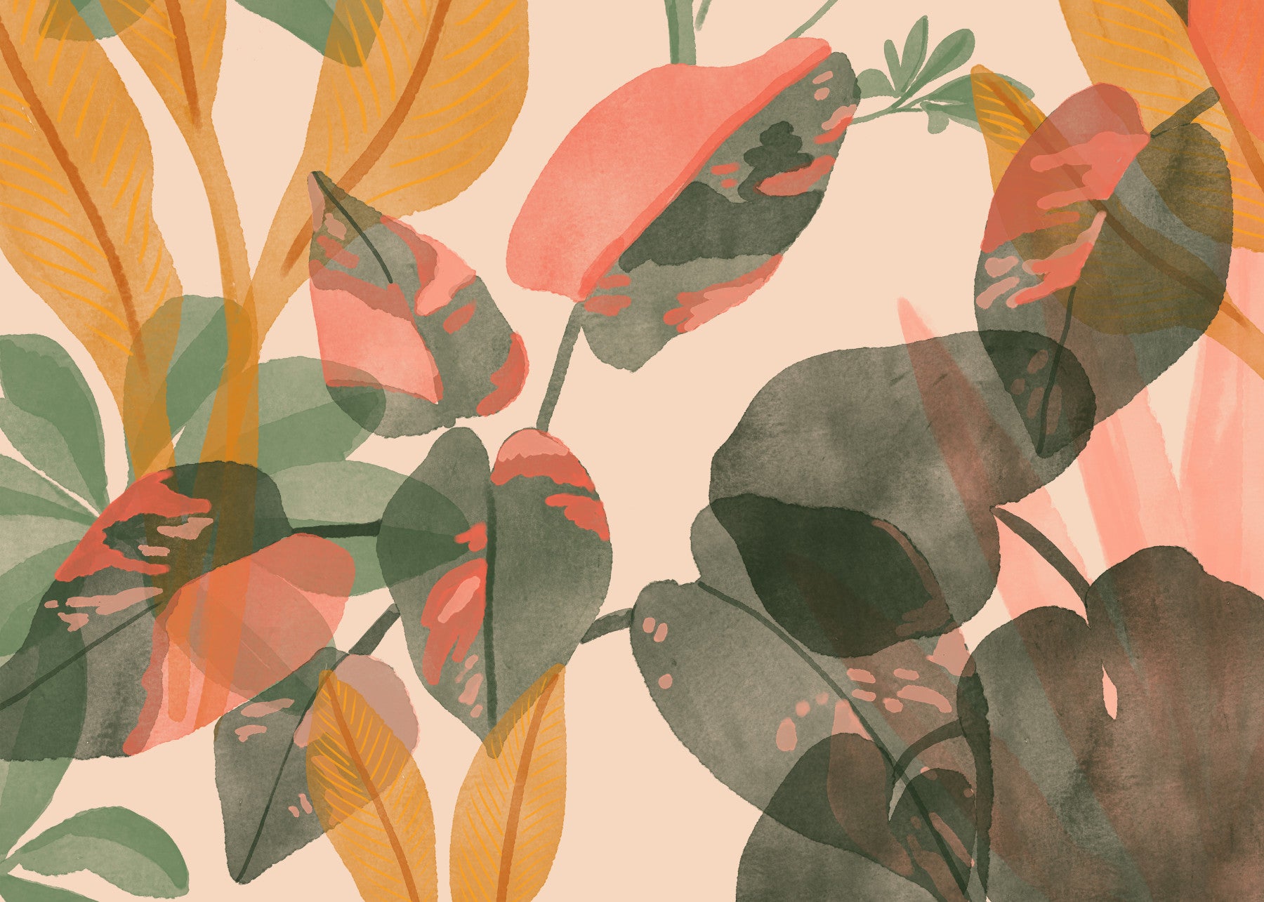 Blush Botanisk Fototapet - 2861673