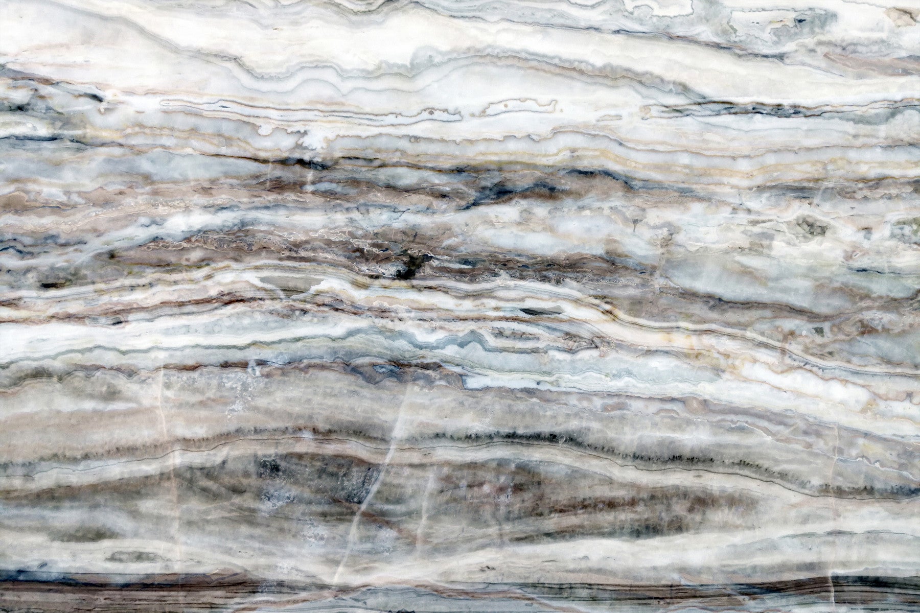 Ethereal Veins Wall Mural - 2579752 in your room — zoomed