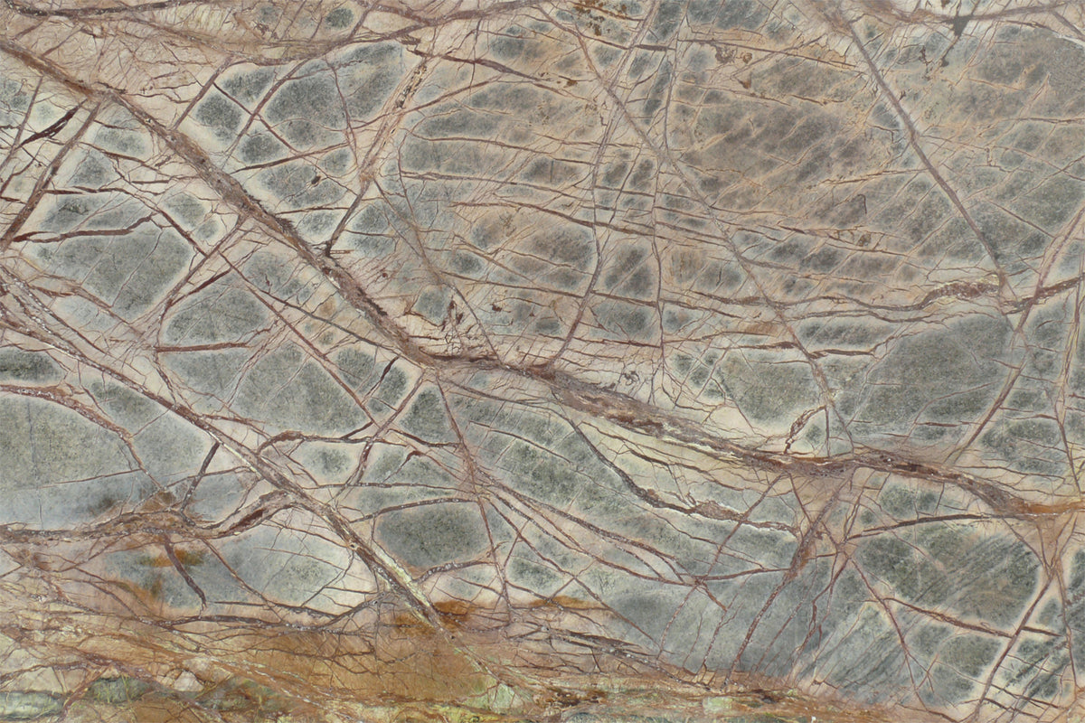 Forest Floor Marble Wall Mural - 2579764 in your room — zoomed