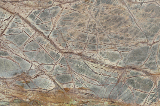 Forest Floor Marble Wall Mural - 2579764