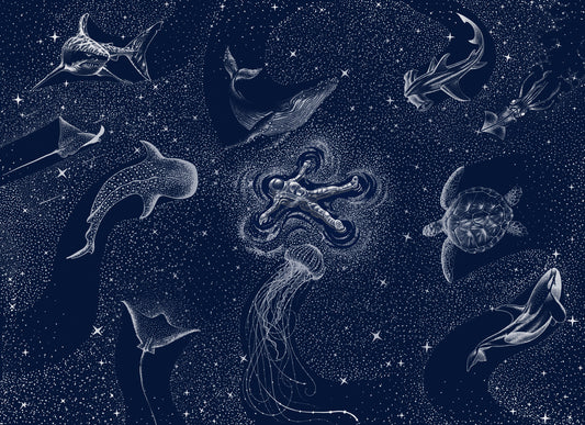 Astral Sea Wall Mural - 2745722