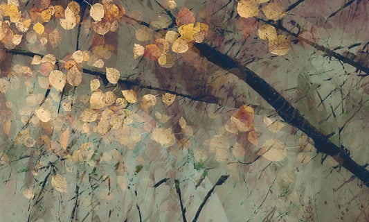 Fotomurale "Riflessione tranquilla d'autunno" - 2852493
