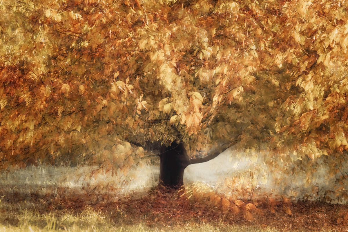 Gilded Leaves Wall Mural -2140317 in your room — zoomed