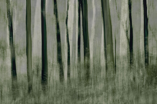 Forest Whisper Wall Mural -1870209