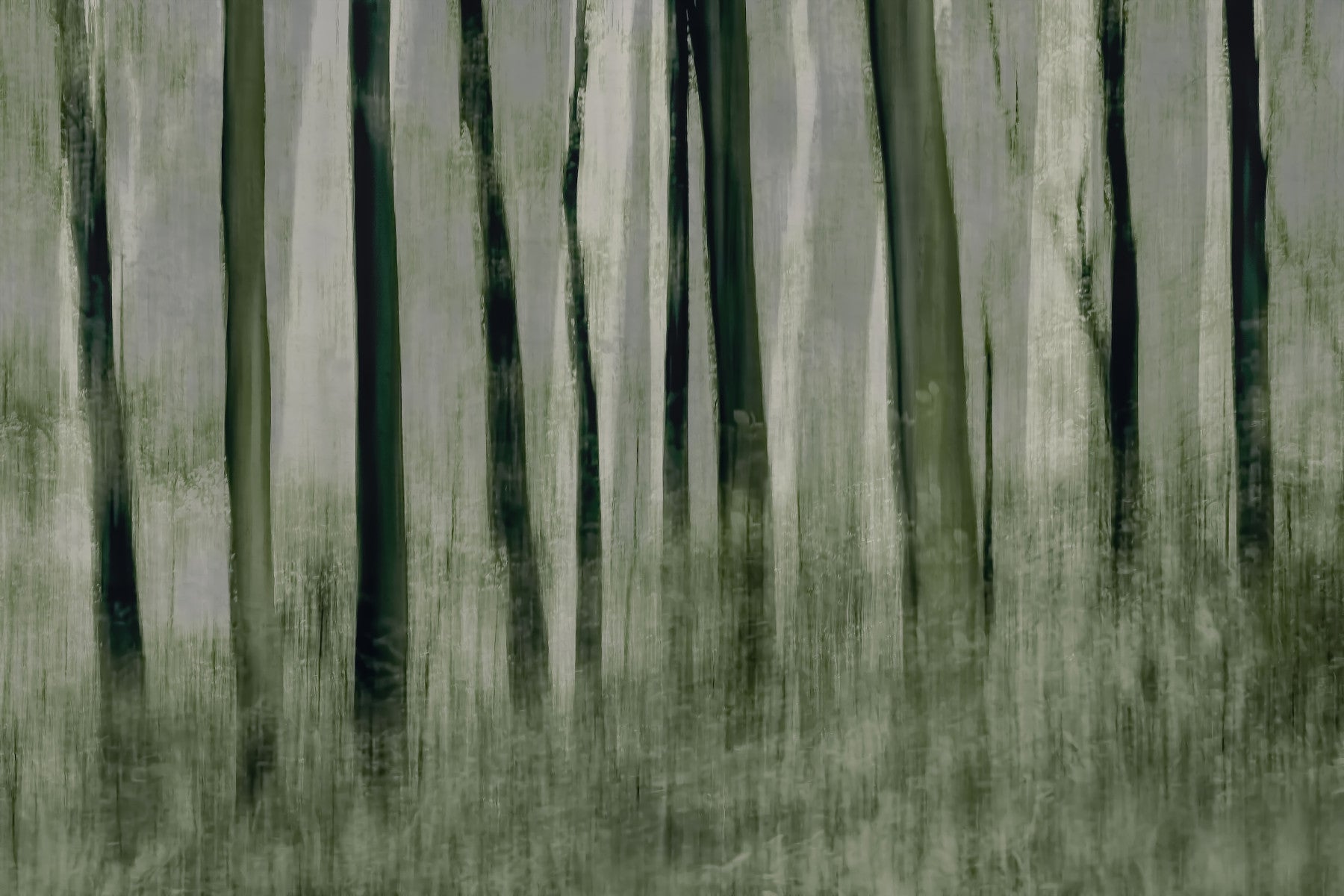 Forest Whisper Wall Mural -1870209