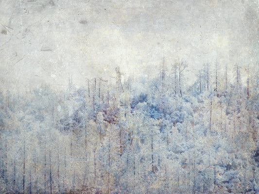 Frosted Forest Dream Wall Mural -2671433