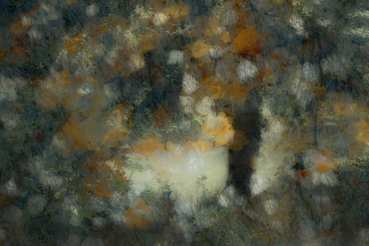 Ethereal Autumn Haze Wall Mural - 1785266 in your room — zoomed