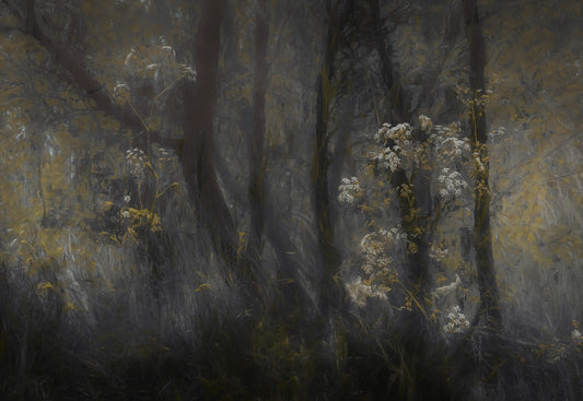 Ethereal Forest Whisper Wall Mural - 1689164