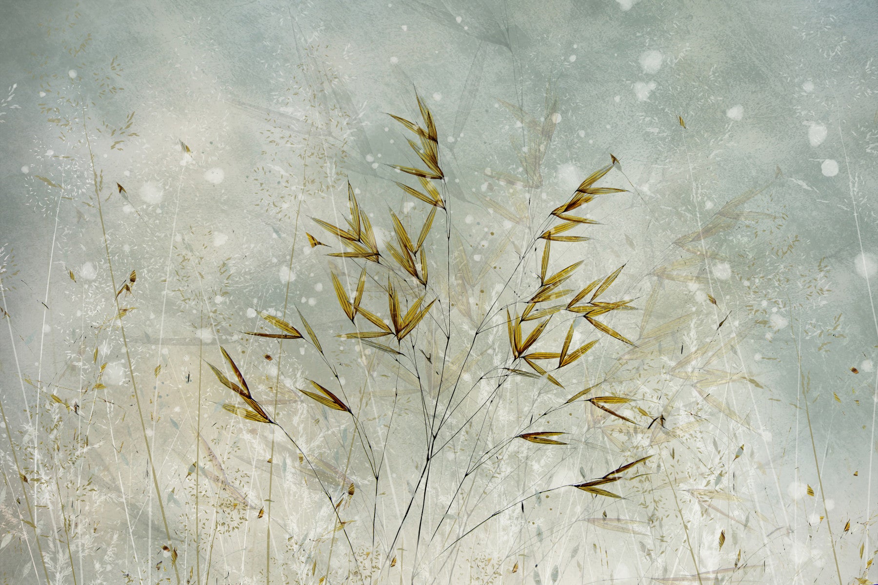 Wisp Whisper Wall Mural -1911337 in your room — zoomed