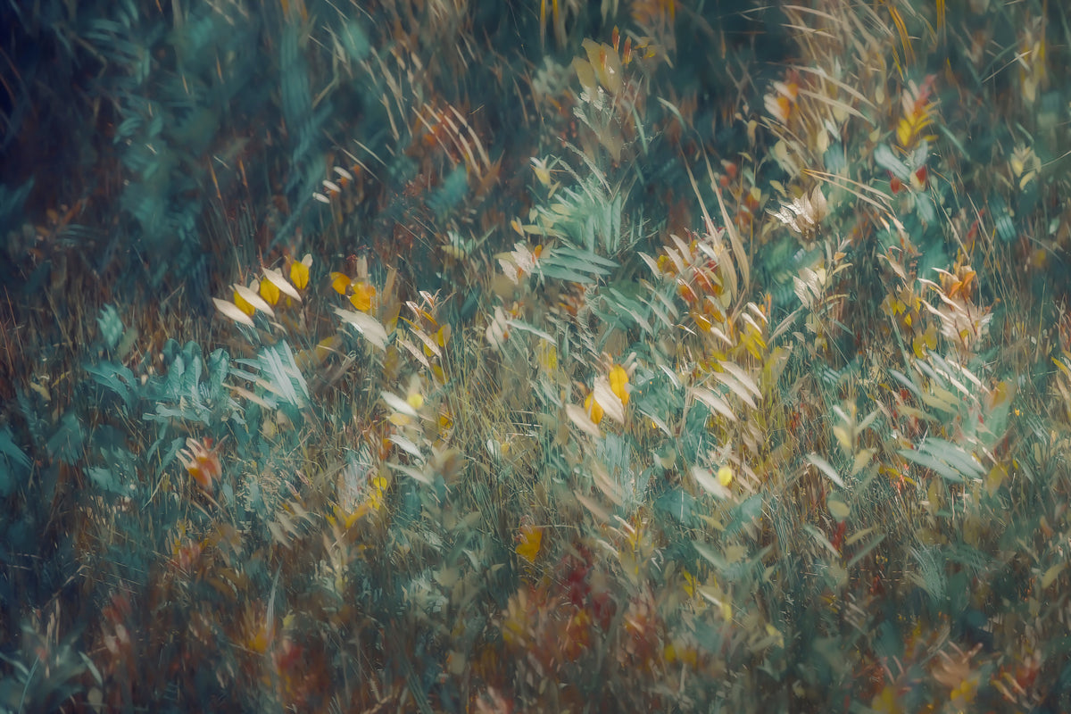 Autumnal Whisper Wall Mural -1930988