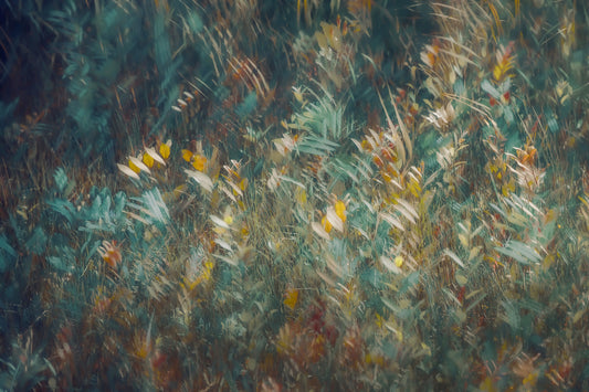 Autumnal Whisper Wall Mural -1930988