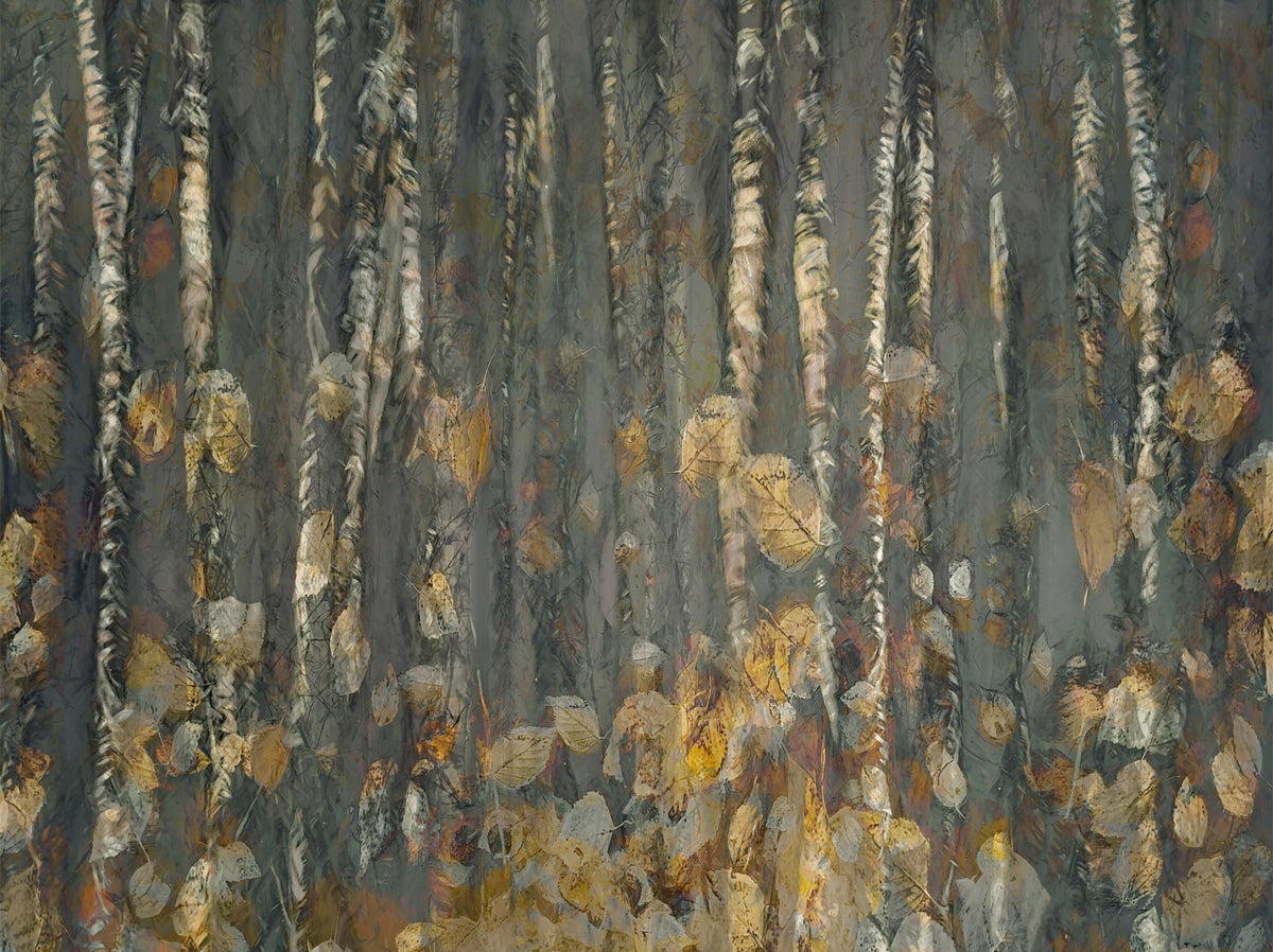 Fresque murale Forêts d'automne -2382515