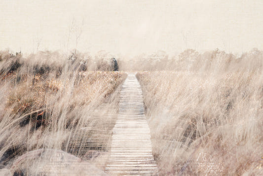 Whispers of the Marsh Path Wall Mural -2679770