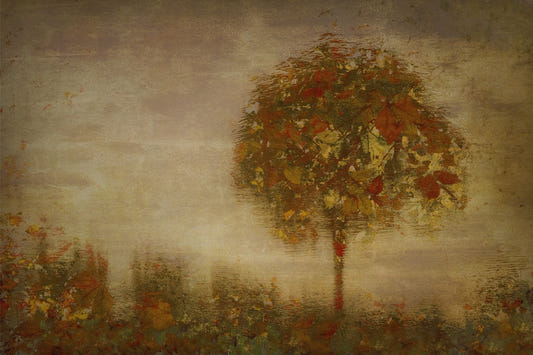 Autumnal Hues Wall Mural -1457825