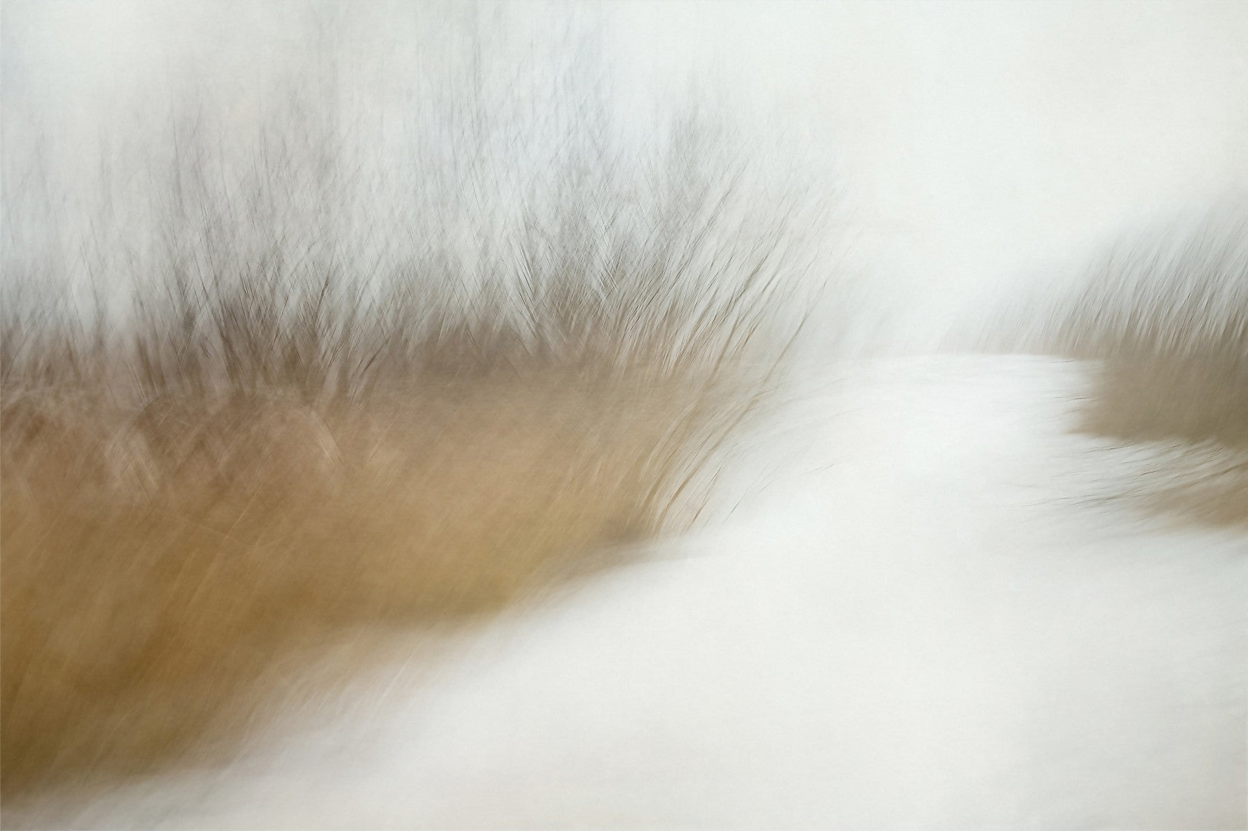 Blurred Horizon Wall Mural -2022166 in your room — zoomed