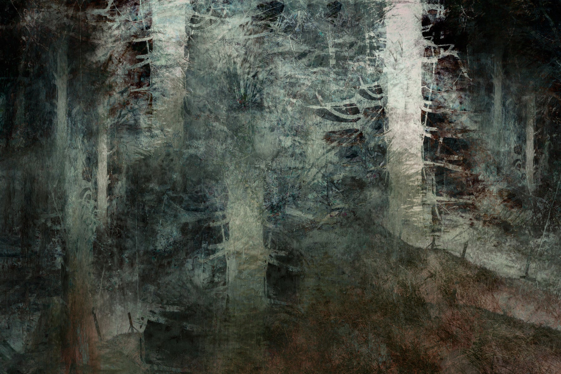 Ethereal Forest Dream Wall Mural -1946610 in your room — zoomed