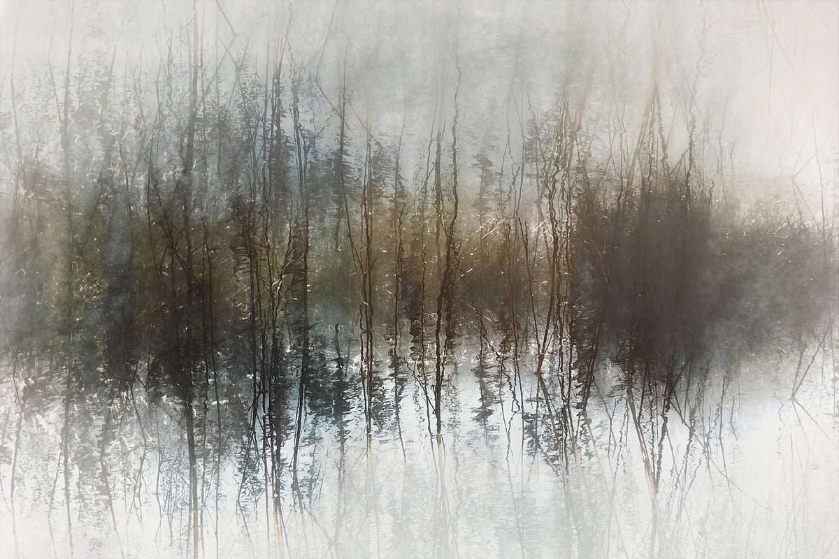 Ethereal Reflection Wall Mural -2270873 in your room