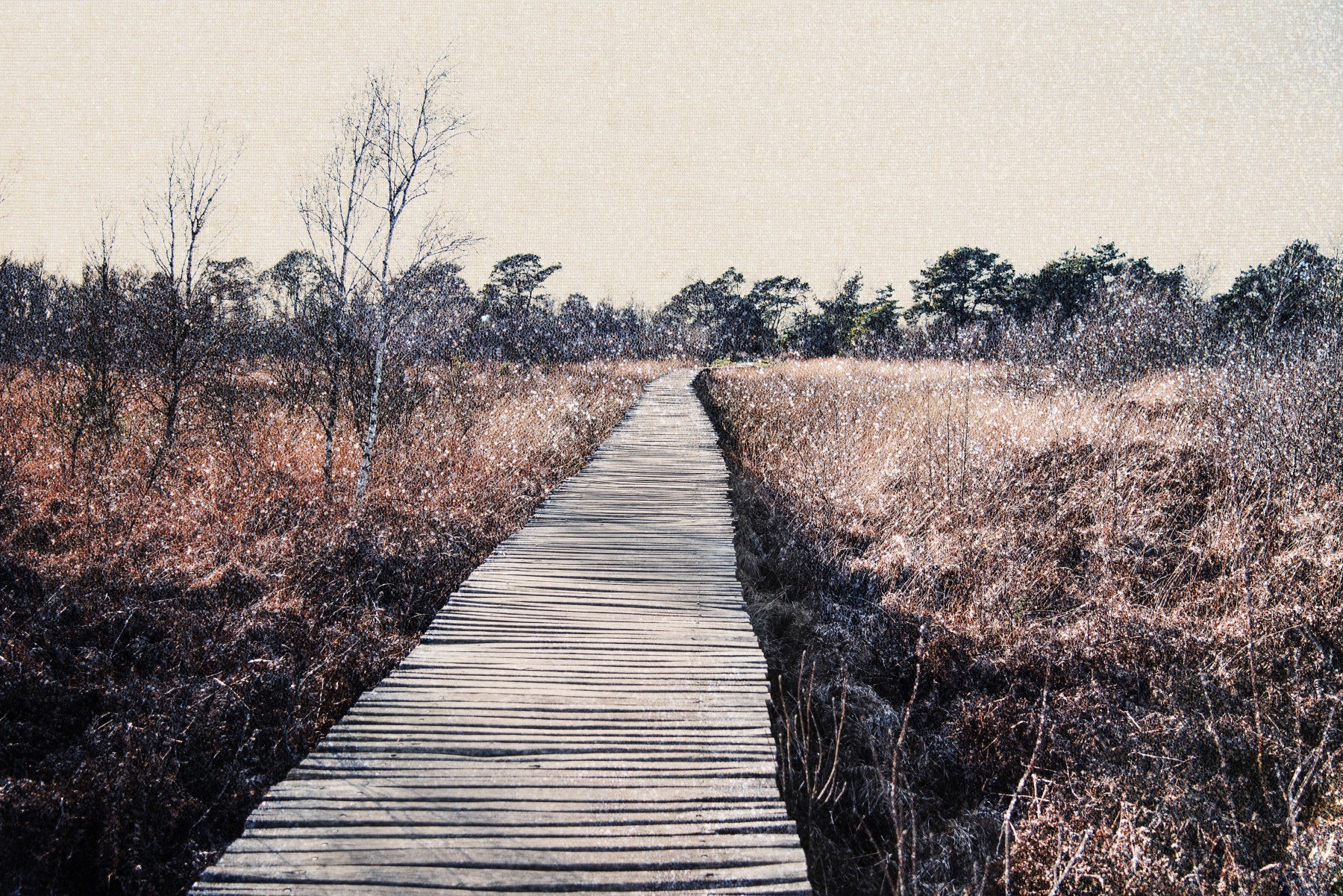 Fototapet Trail's End Serenity - 2679767