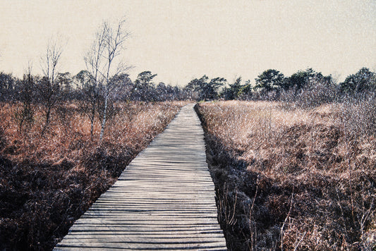 Wandgemälde „Trail's End Serenity“ – 2679767