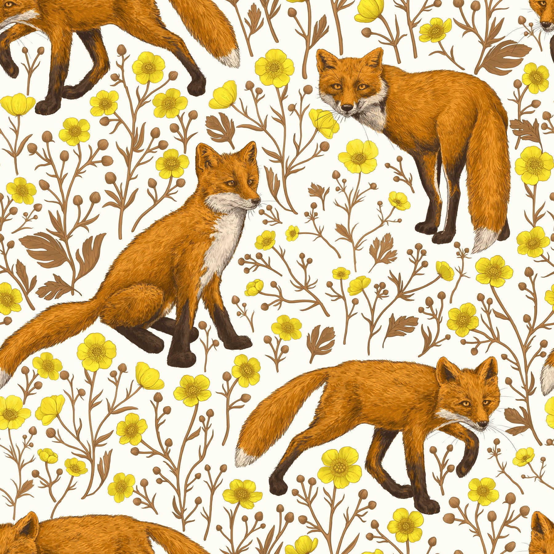 Foxes and buttercups on natural white Wallpaper⁠ in your room — zoomed