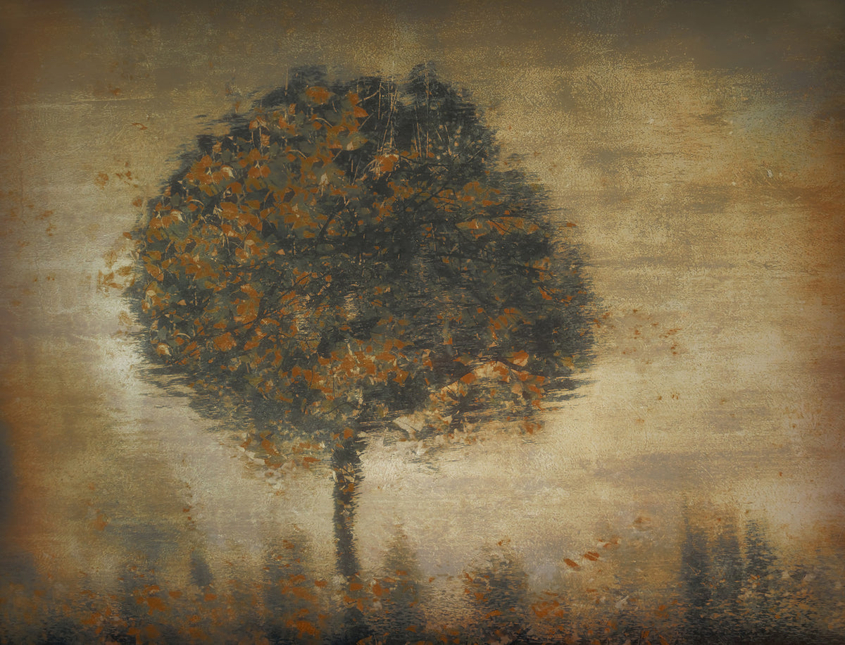 Autumnal Solitude Wall Mural -1433210 in your room — zoomed
