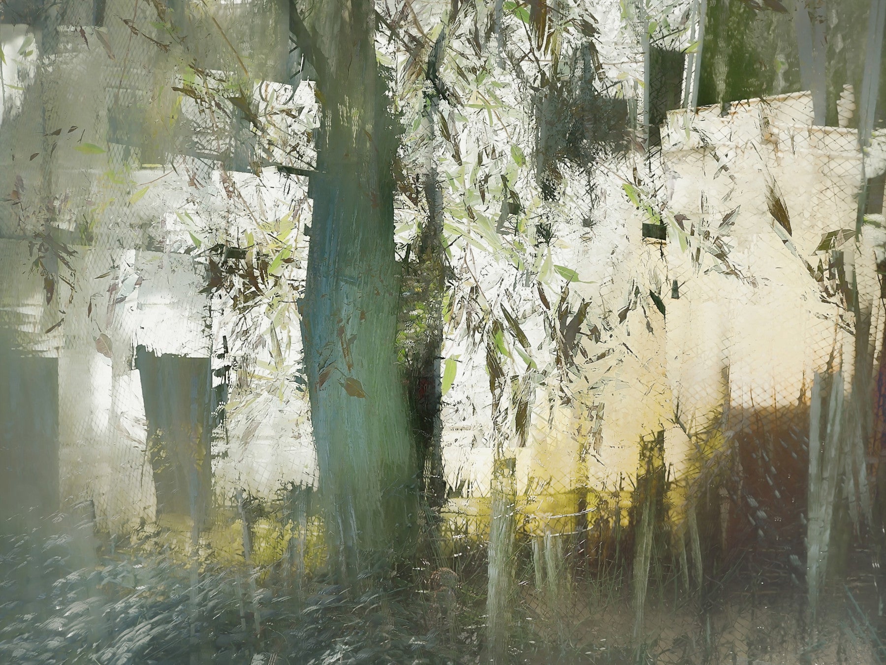 Misty Woodland Abstraction Wall Mural -2377428 in your room — zoomed
