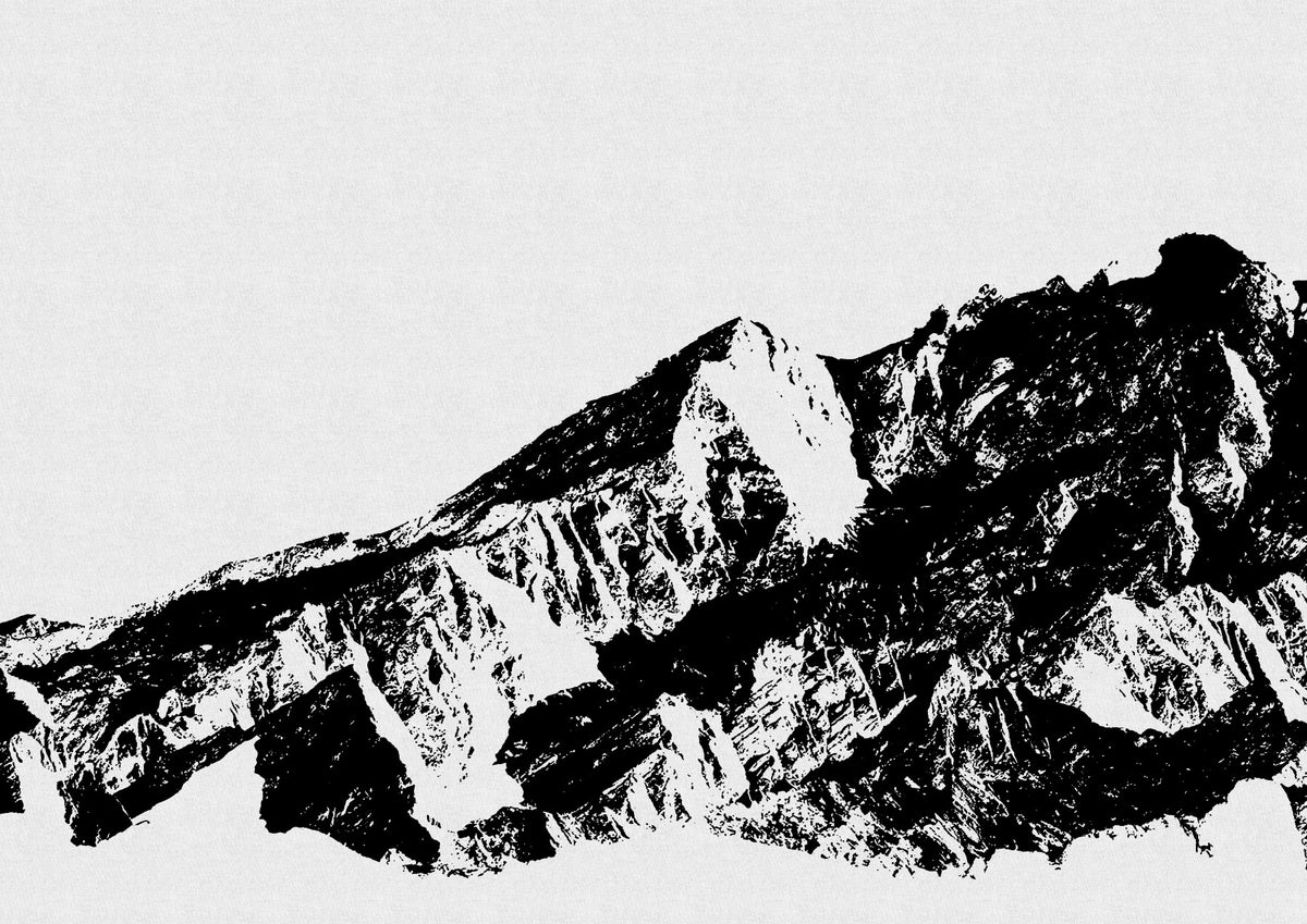 Murale murale Majesté monochrome -2594671 in your room — zoomed