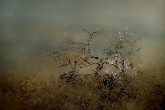 Misty Reflections Wall Mural -1737279