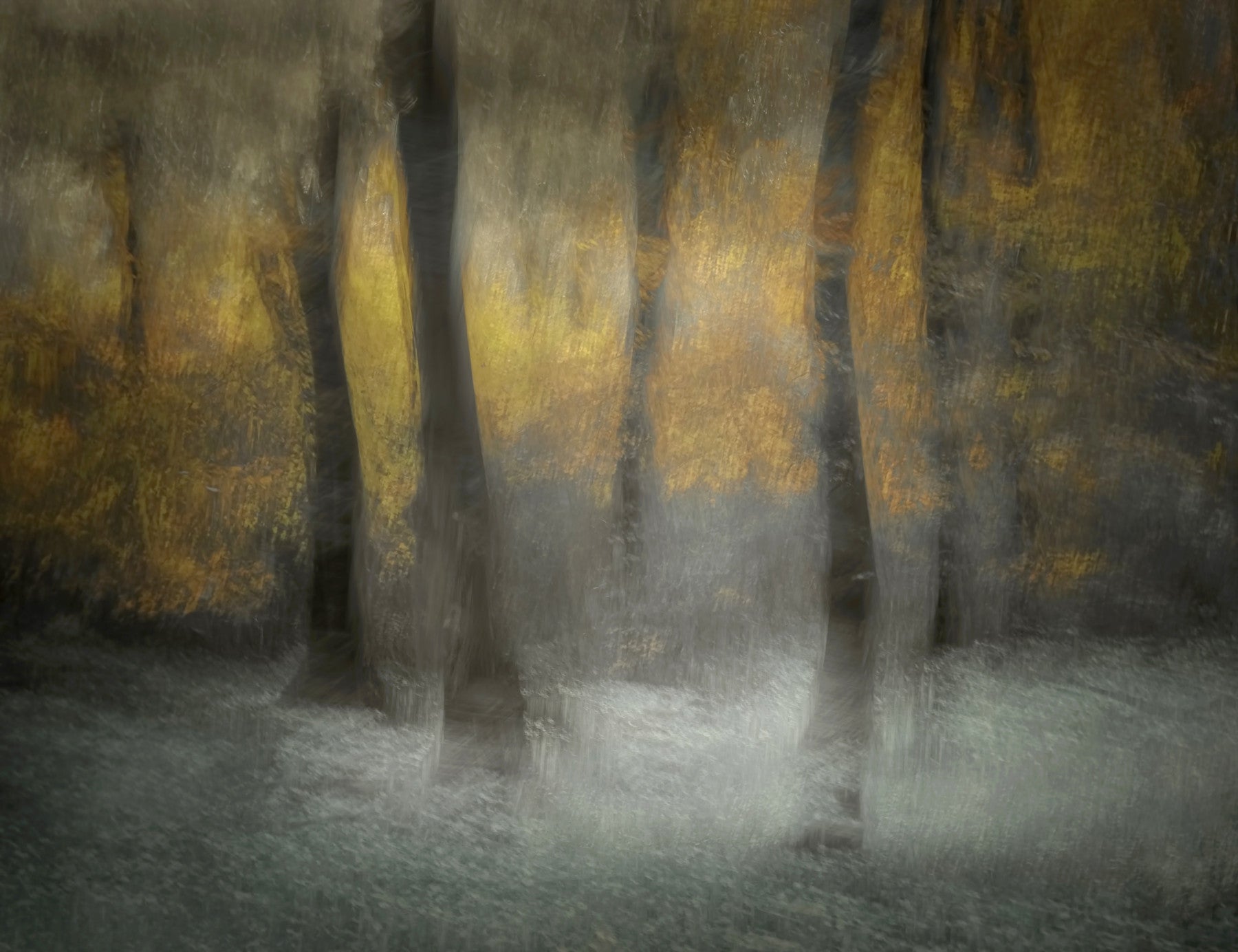 Ethereal Forest Whispers Wall Mural -1434012