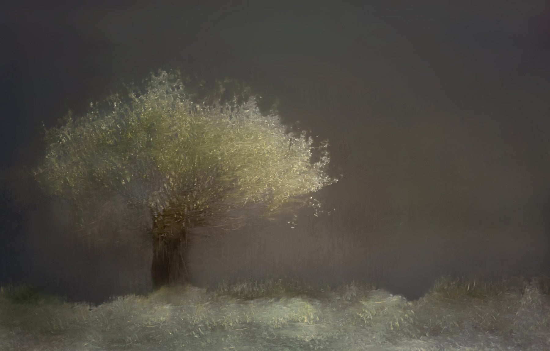 Luminous Tree Wall Mural -1430994