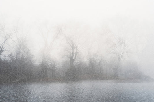 Murale da parete Misty Lake's Edge - 2679777