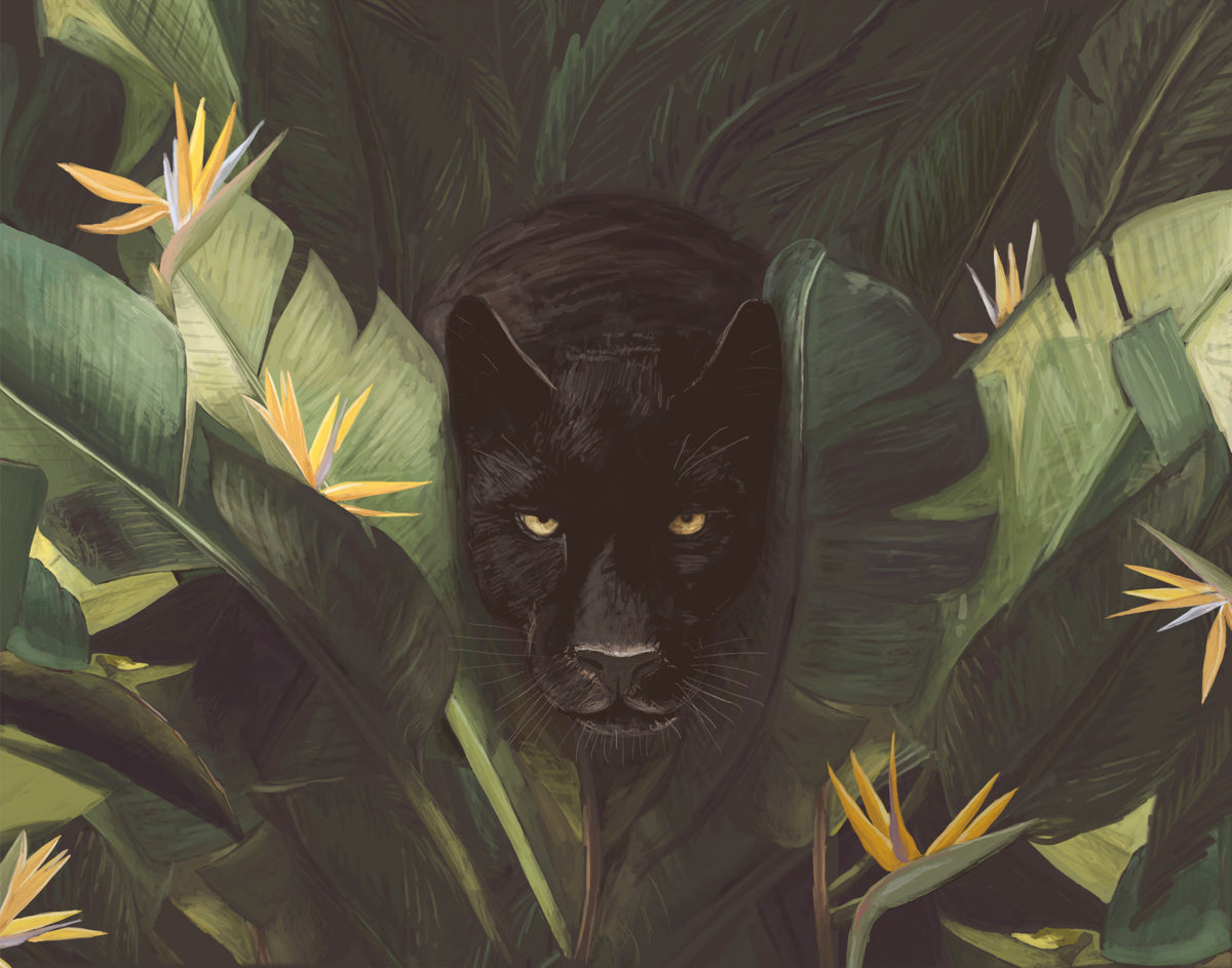 Jungle Noir: Hidden Gaze Wall Mural -2489655 in your room — zoomed