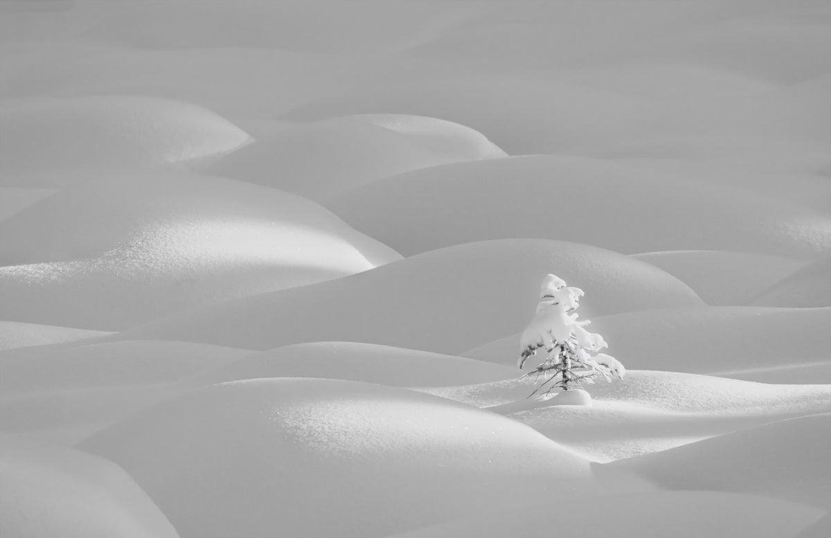 Snowscape Serenity Wall Mural -2178787