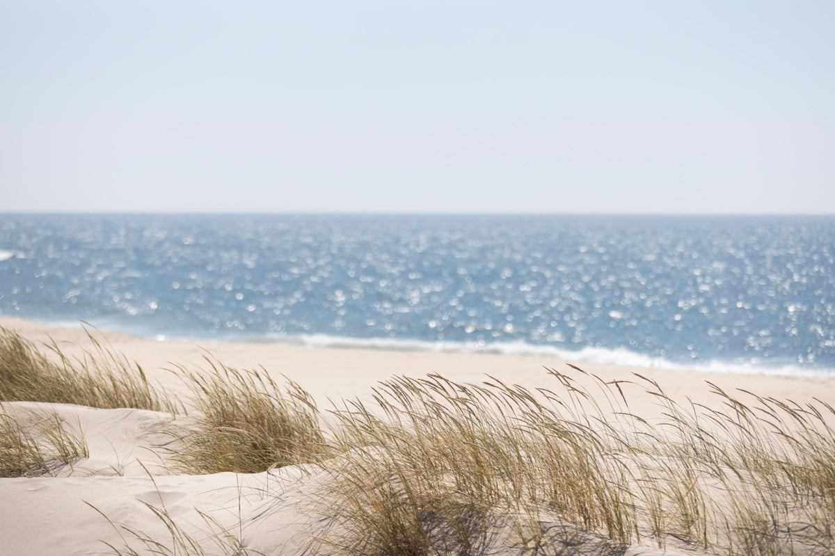 Beach Grass Hues Wall Mural -2670052 in your room — zoomed